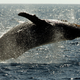 Image: AP